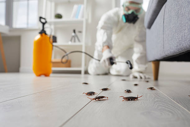 Post-Treatment Bed Bug Interceptor Monitoring in Cedar Falls