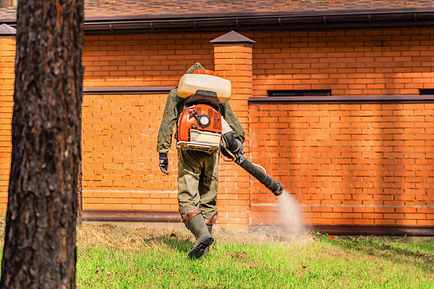 Bed Bug Clearance Verification and Documentation in Cedar Falls